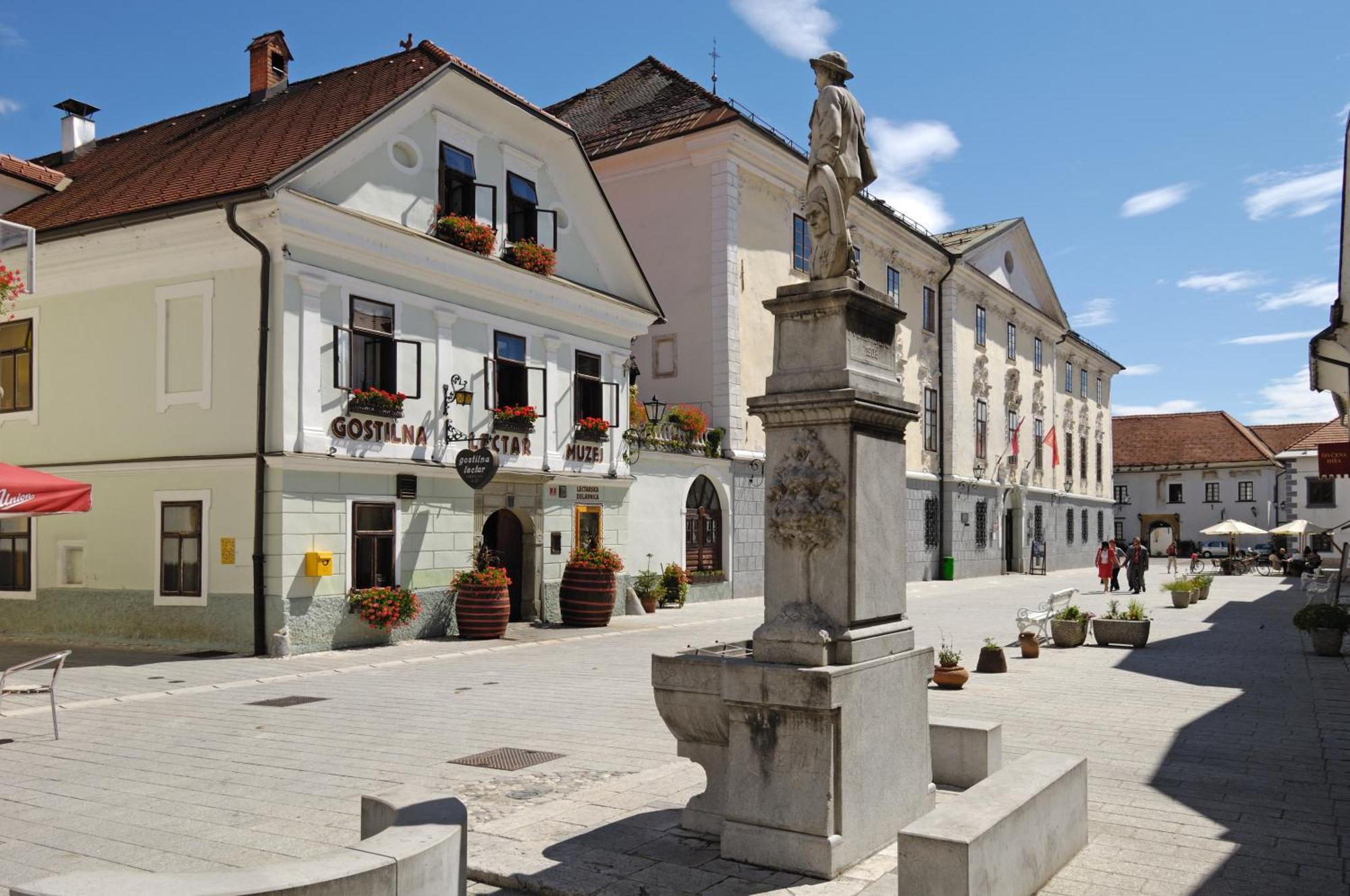 Hotel Pension Lectar Radovljica Esterno foto