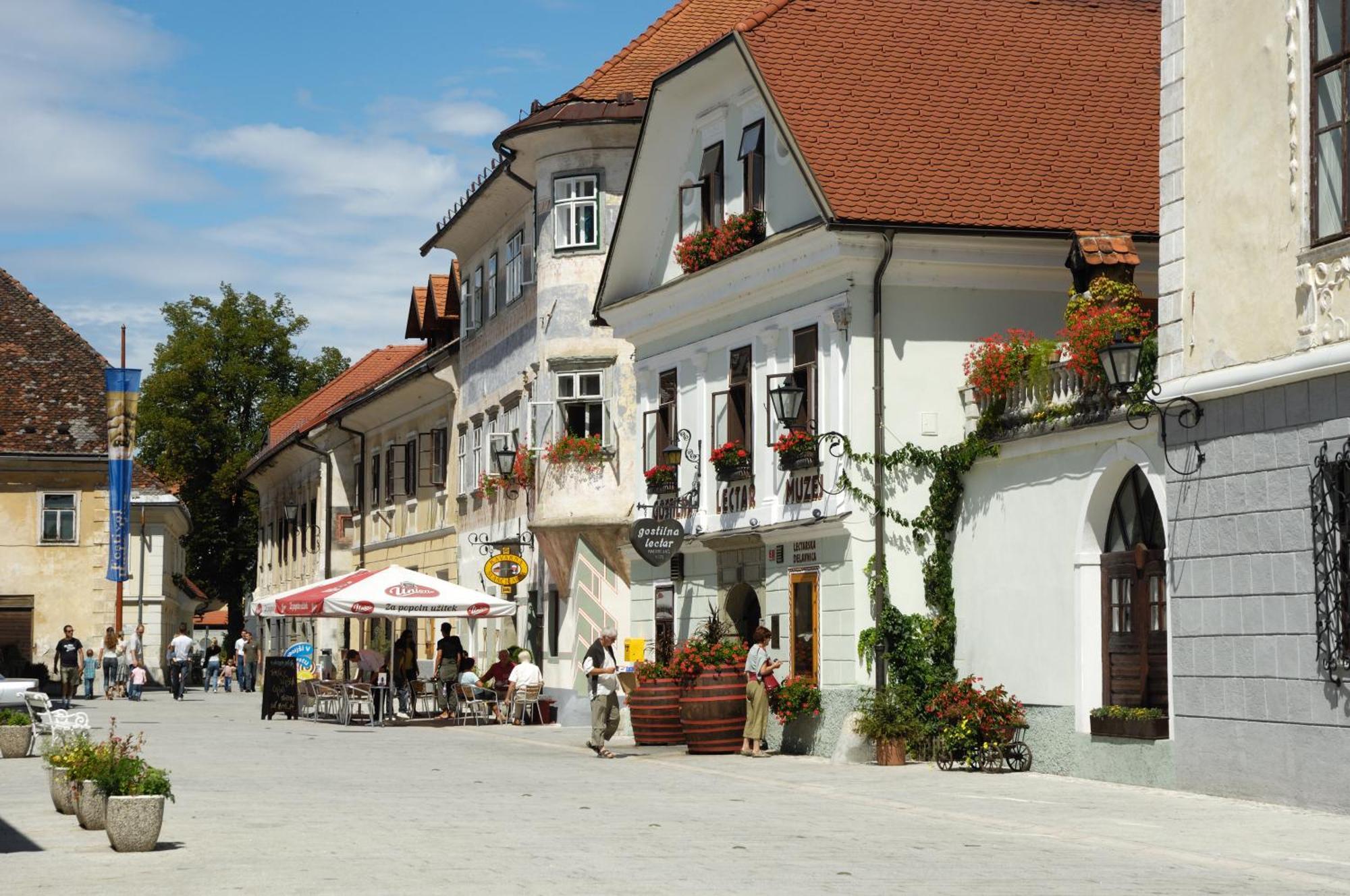 Hotel Pension Lectar Radovljica Esterno foto